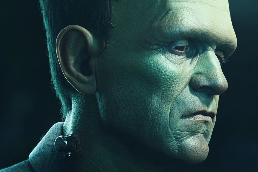 Frankensteins Monster by Anna Schmelzer